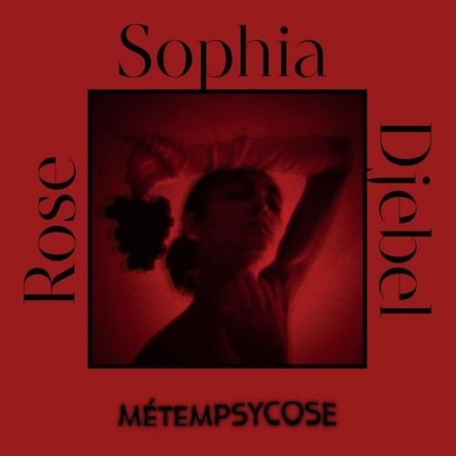 sophia djebel rose métempsycose